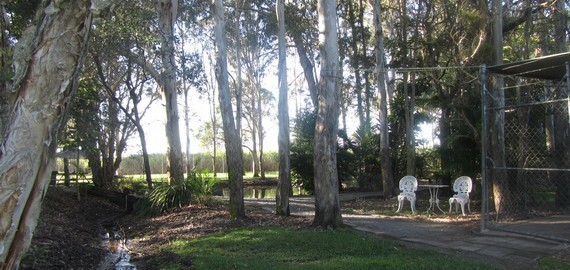 sceneic view of resort