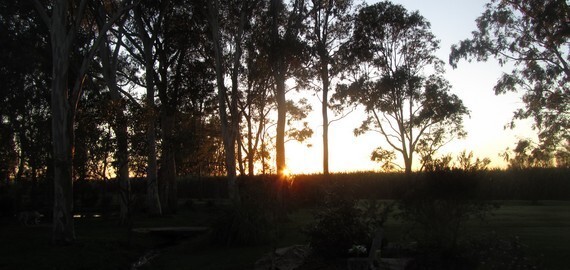 sunset at Alida's Pet Resort