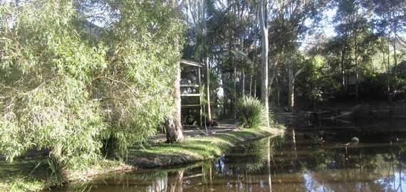 water Alida's Pet Resort